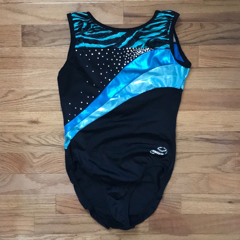 Dreamlight Black and Blue Leotard